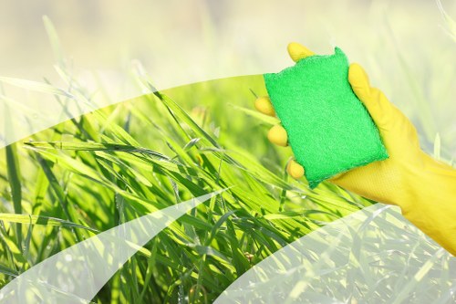 Detailed upholstery cleaning process for sofas in Sanderstead