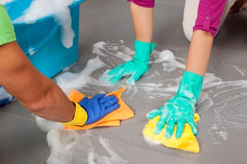 Professional steam carpet cleaning equipment in a Sanderstead home