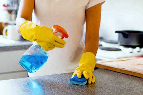 Hot water extraction cleaning process on a living room carpet