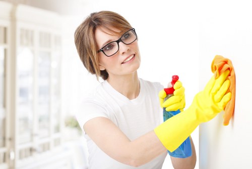 Final deodorising treatment after pet stain odour removal