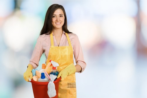 Local carpet cleaners accessibility support and alternative format request