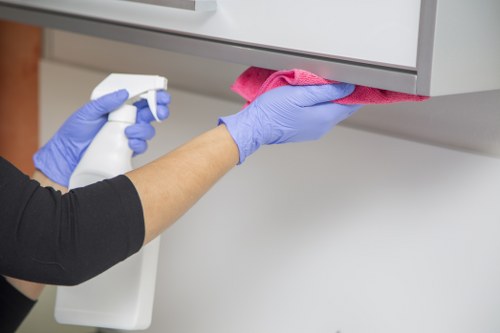 Enzymatic treatment for pet urine stains in a Sanderstead home